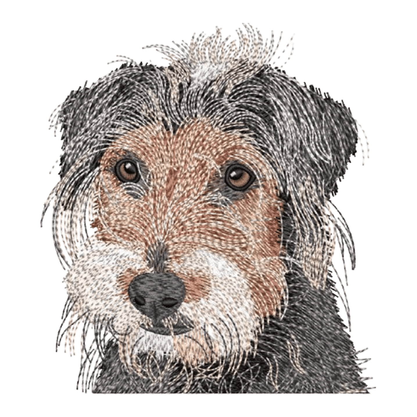 Digitizing preview 1