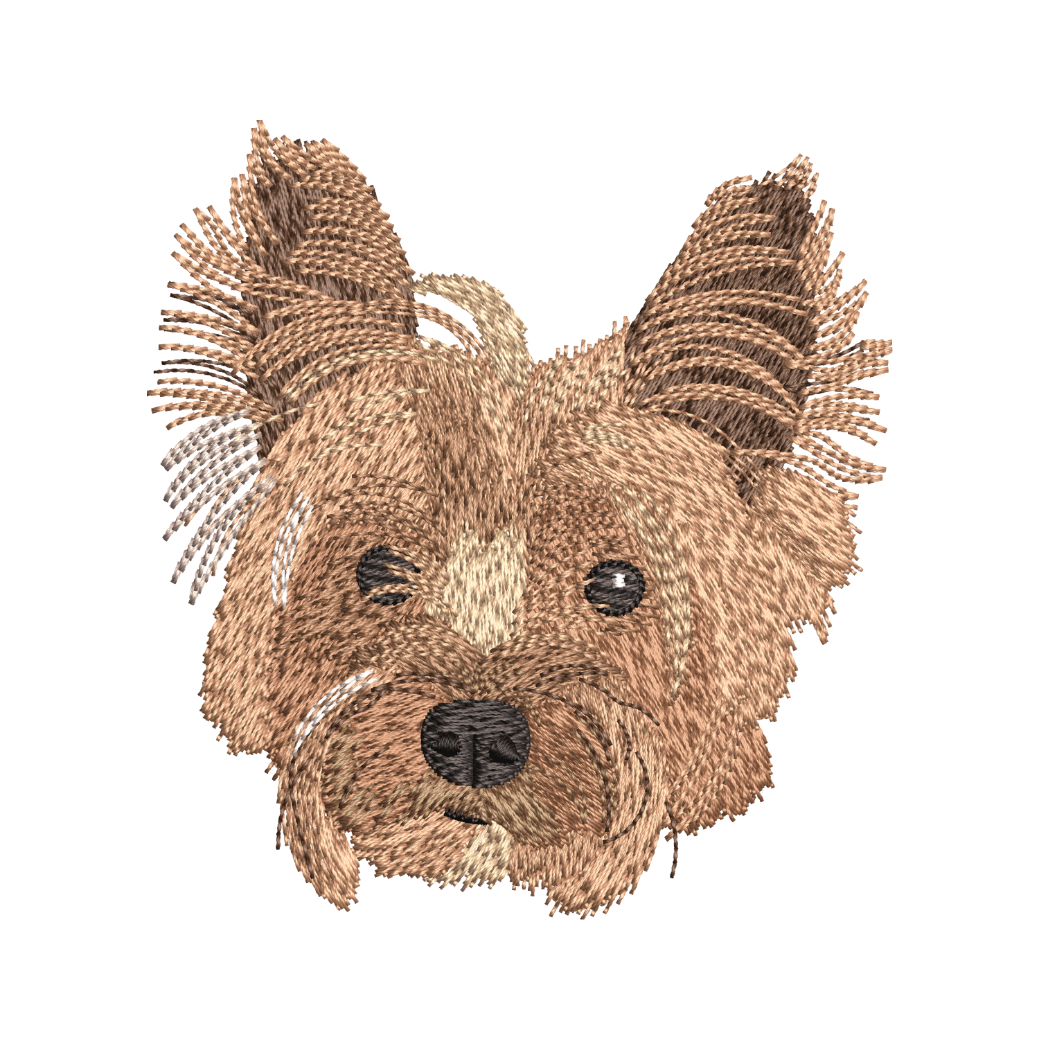 Digitizing Sample 13