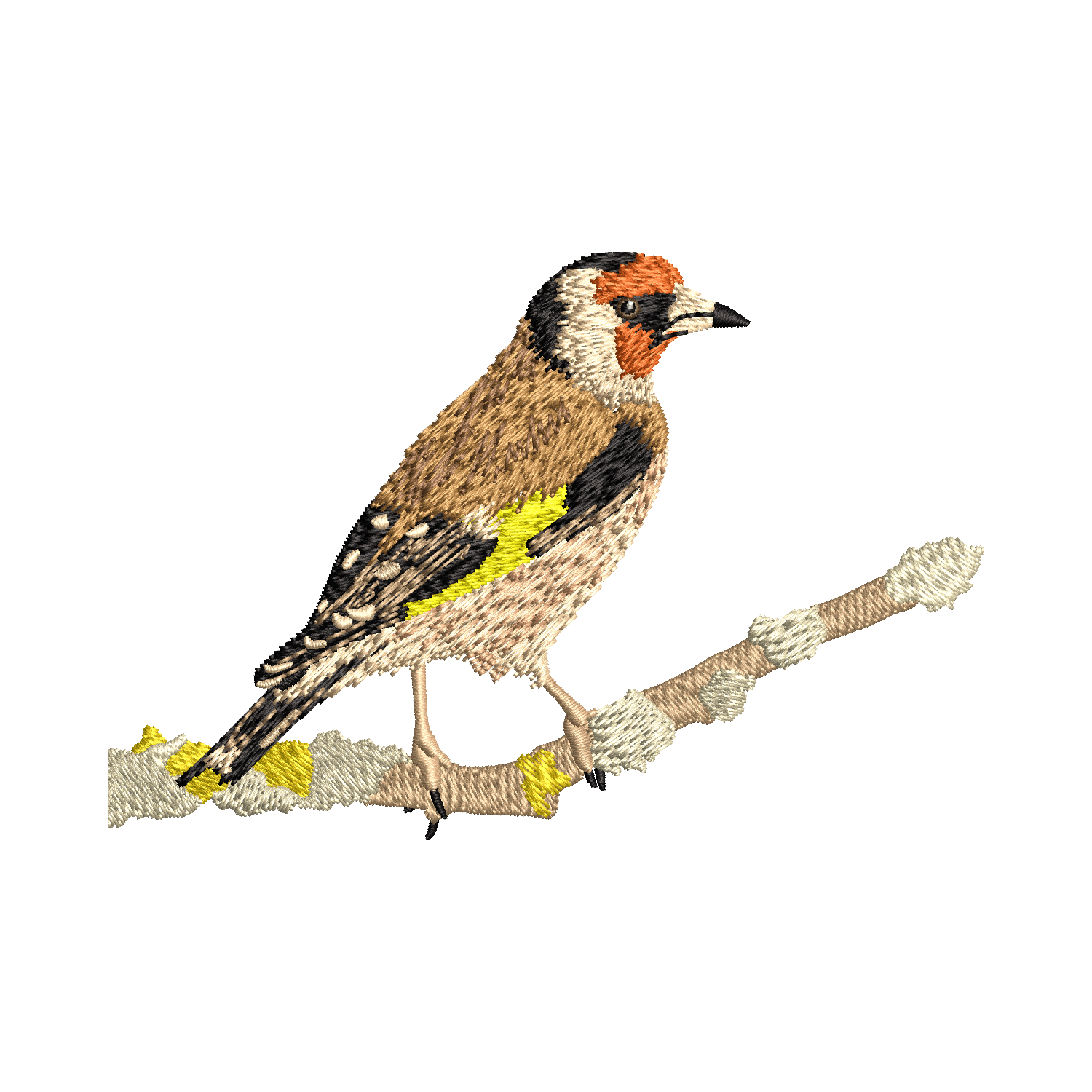 Digitizing Sample 33