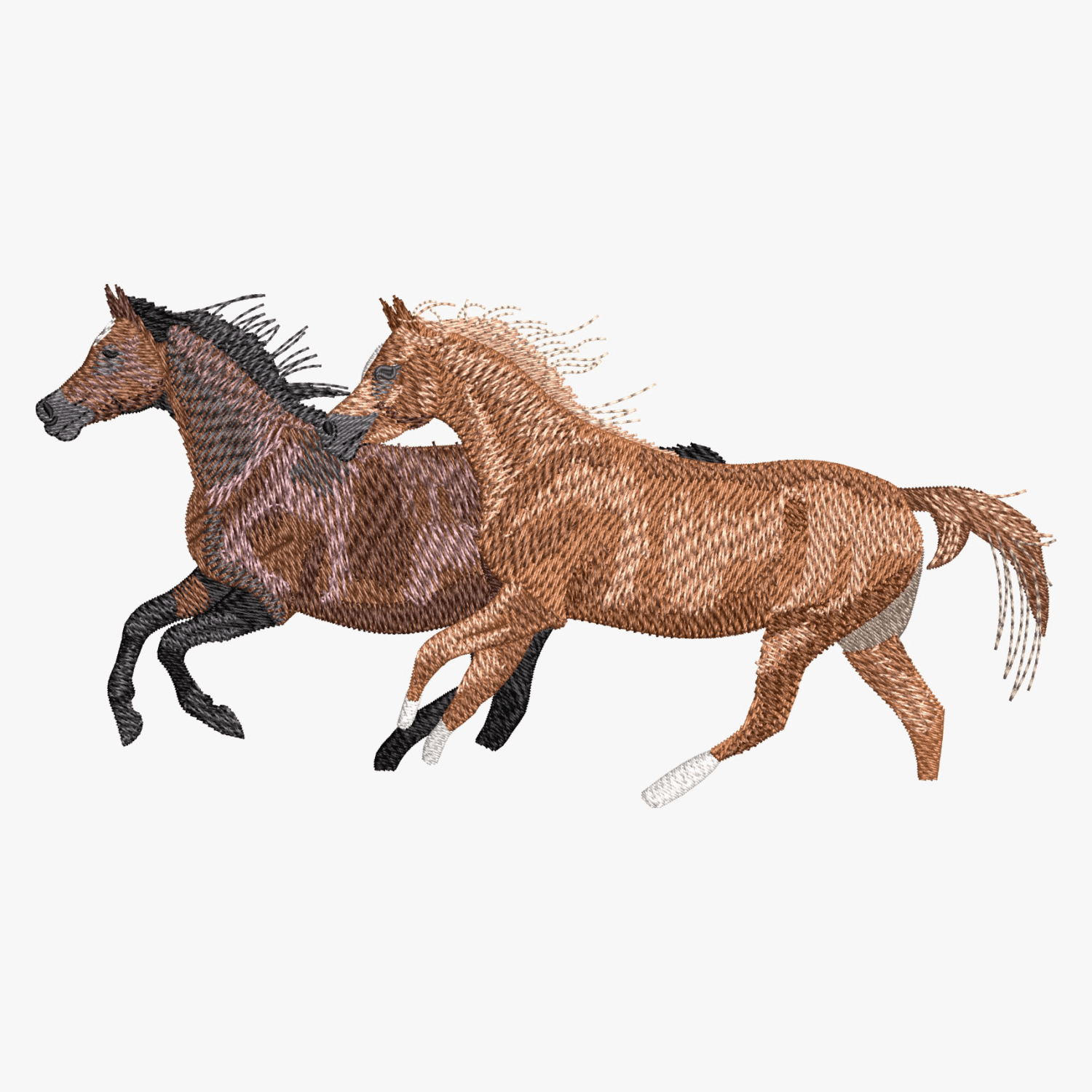 Digitizing Sample 42