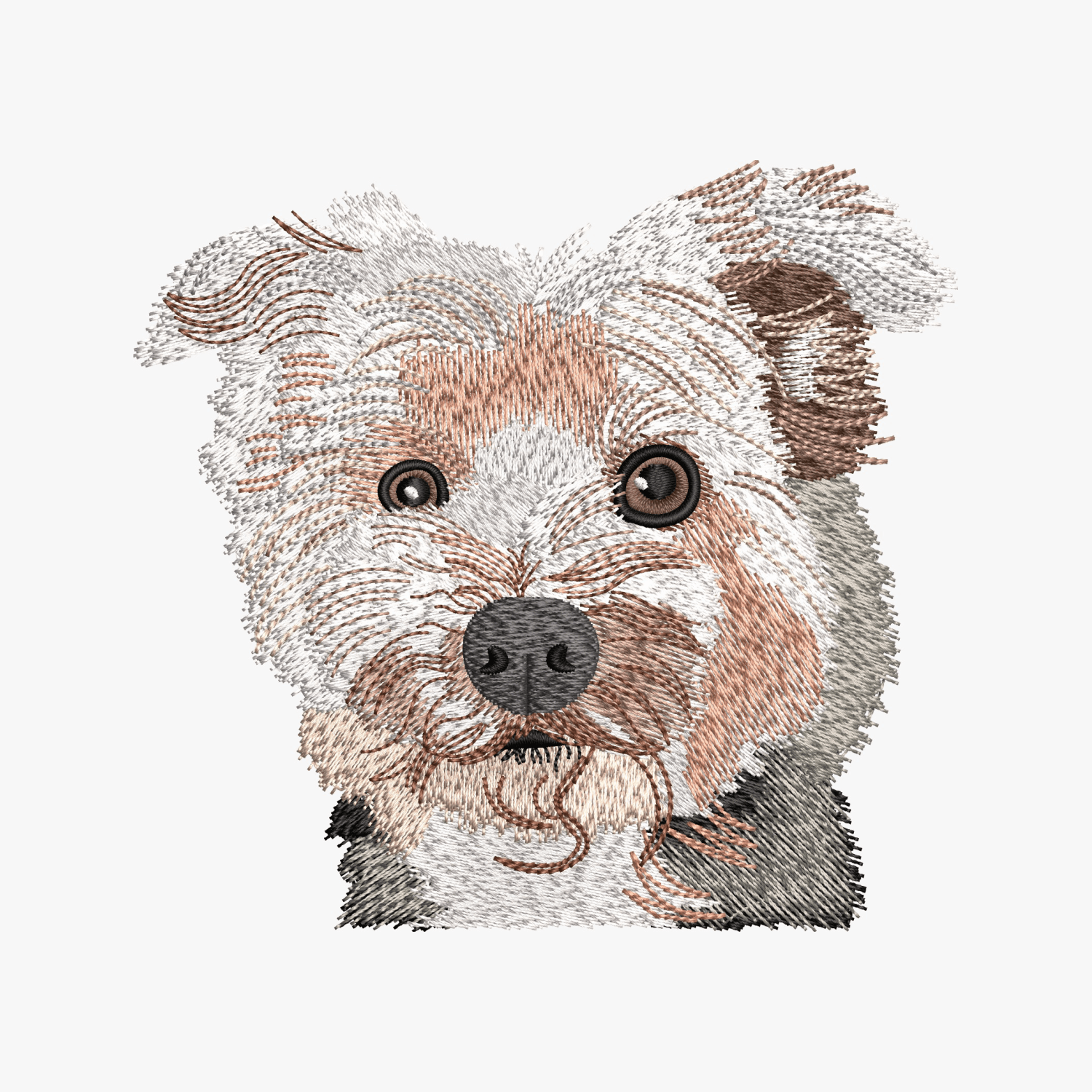 Digitizing Sample 44