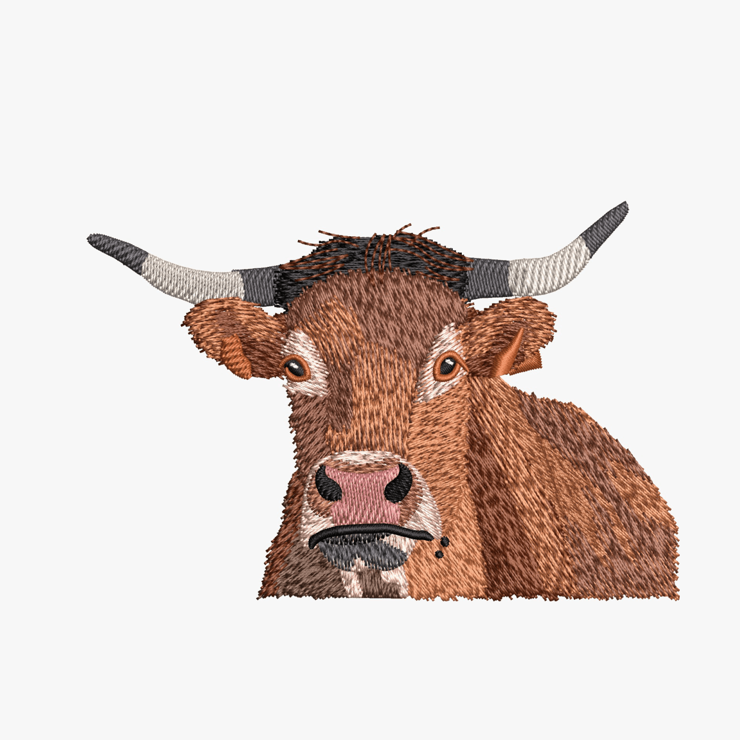 Digitizing Sample 48